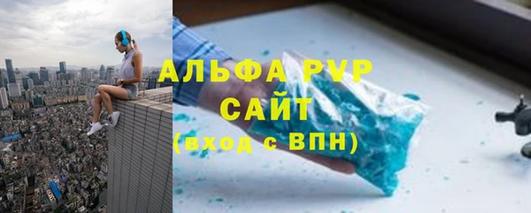 ГАЛЛЮЦИНОГЕННЫЕ ГРИБЫ Верея