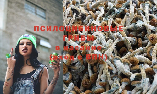 СК Михайловка