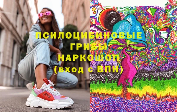 дурь Михайловск