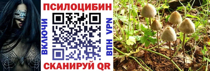 Галлюциногенные грибы Psilocybine cubensis  Отрадное 