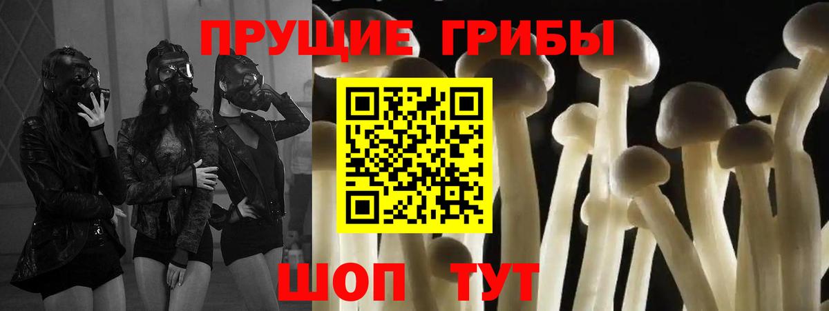 Псилоцибиновые грибы Cubensis  Вход с VPN  наркотики  Отрадное 